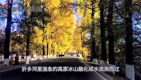 娱乐吃瓜拍摄地,探寻明星足迹的神秘角落  第2张